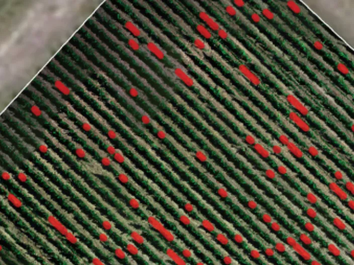 Inventaire des parcelles