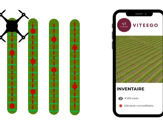 Schéma du processus d'inventaire viticole par drone — VITEEGO