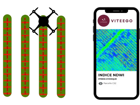 Schéma de l'analyse NDVI vigueur foliaire vigne — VITEEGO